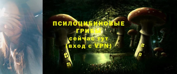 мдпв Заводоуковск