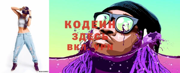 мдпв Заводоуковск