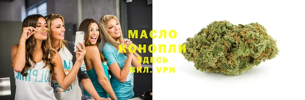мдпв Заводоуковск