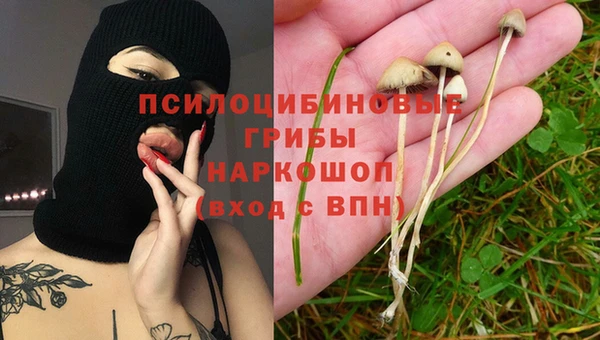 мдпв Заводоуковск