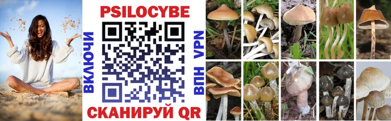Галлюциногенные грибы мицелий  Зубцов 